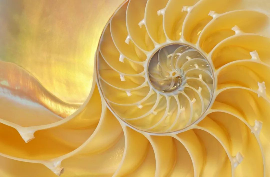 改性尼龍新聞速遞:中空結構的復合材料部件