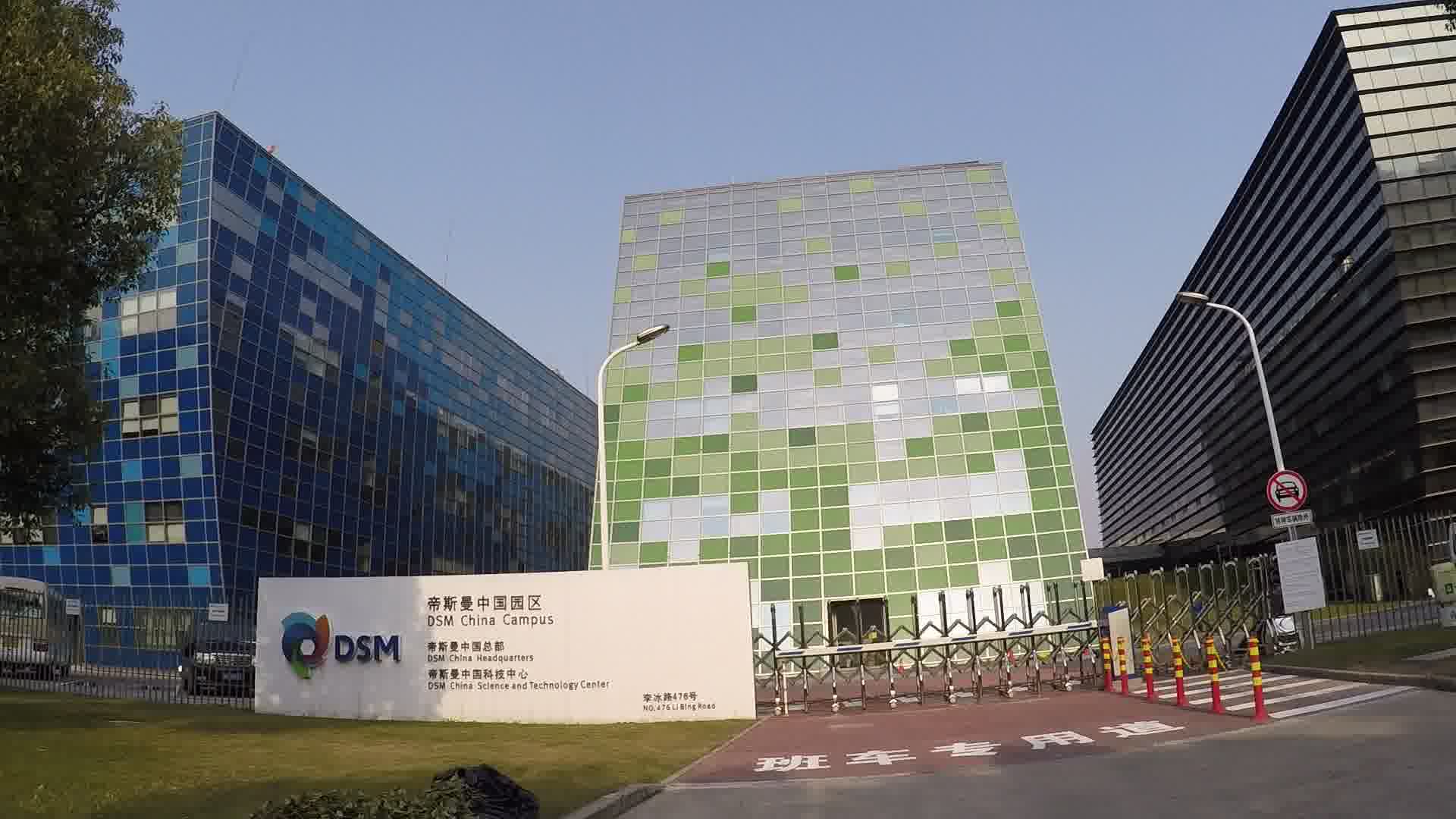 2021年度帝斯曼成全球尼龍46材料主要供應商