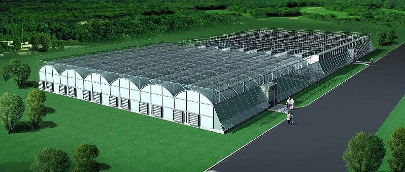 改性尼龍新聞速遞: 關(guān)于改性塑料在農(nóng)業(yè)中的發(fā)展趨勢(shì)